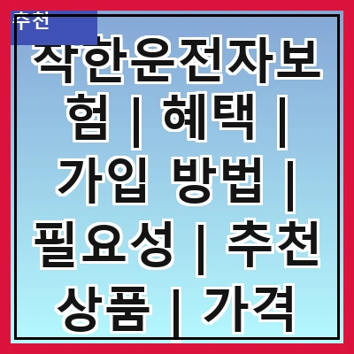 착한운전자보험 | 혜택 | 가입 방법 | 필요성 | 추천 상품 | 가격 비교 | 주의사항 | 실속 팁